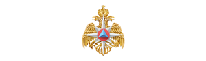 Министерство Российской Федерации по делам гражданской обороны, чрезвычайным ситуациям и ликвидации последствий стихийных бедствий.